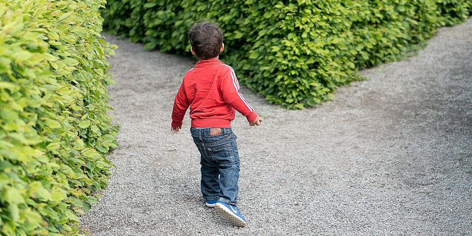 Kleiner Junge im Heckenlabyrinth
